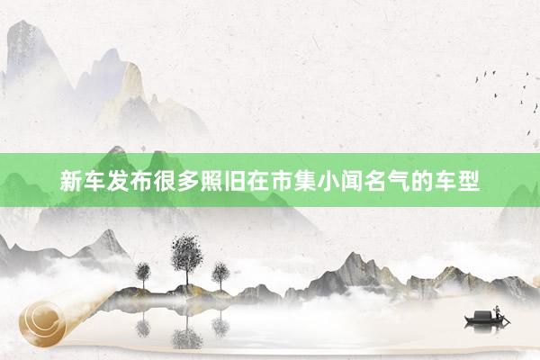 新车发布很多照旧在市集小闻名气的车型