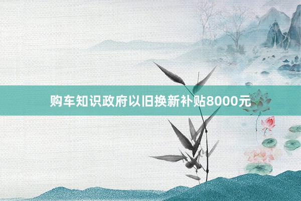 购车知识政府以旧换新补贴8000元