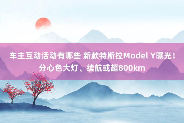 车主互动活动有哪些 新款特斯拉Model Y曝光！分心色大灯、续航或超800km