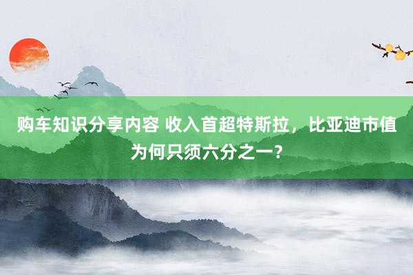 购车知识分享内容 收入首超特斯拉，比亚迪市值为何只须六分之一？