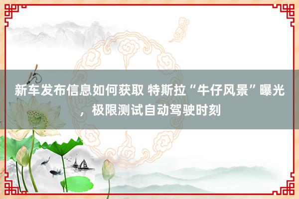 新车发布信息如何获取 特斯拉“牛仔风景”曝光，极限测试自动驾驶时刻