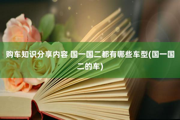 购车知识分享内容 国一国二都有哪些车型(国一国二的车)