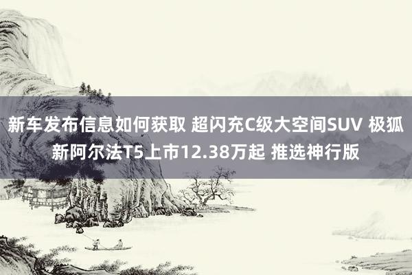 新车发布信息如何获取 超闪充C级大空间SUV 极狐新阿尔法T5上市12.38万起 推选神行版