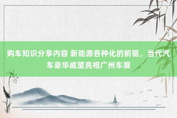 购车知识分享内容 新能源各种化的前驱，当代汽车豪华威望亮相广州车展