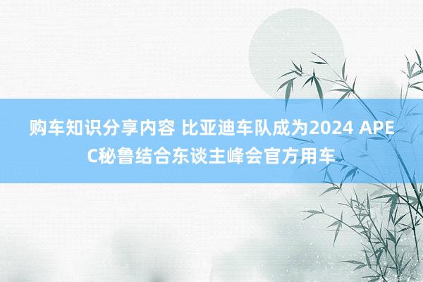 购车知识分享内容 比亚迪车队成为2024 APEC秘鲁结合东谈主峰会官方用车