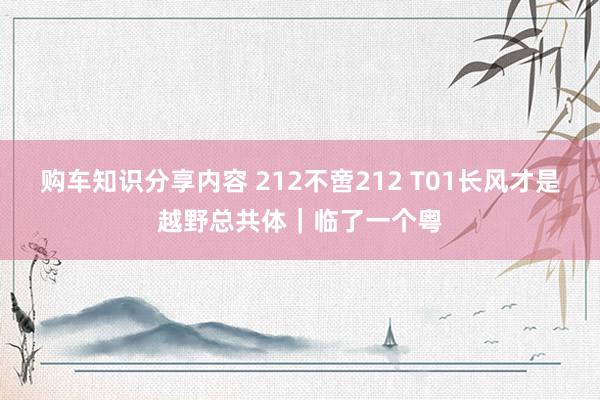 购车知识分享内容 212不啻212 T01长风才是越野总共体｜临了一个粤