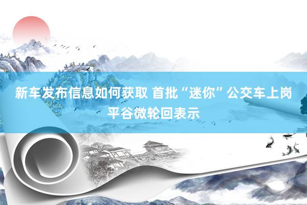 新车发布信息如何获取 首批“迷你”公交车上岗平谷微轮回表示