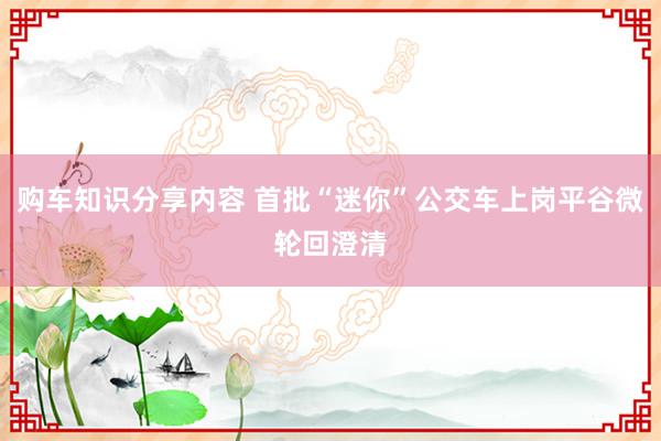 购车知识分享内容 首批“迷你”公交车上岗平谷微轮回澄清