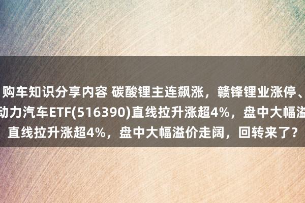 购车知识分享内容 碳酸锂主连飙涨，赣锋锂业涨停、宁德时间涨3%，新动力汽车ETF(516390)直线拉升涨超4%，盘中大幅溢价走阔，回转来了？