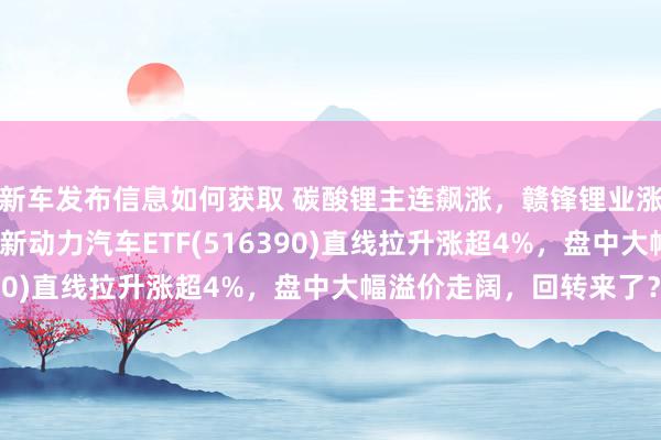 新车发布信息如何获取 碳酸锂主连飙涨，赣锋锂业涨停、宁德时期涨3%，新动力汽车ETF(516390)直线拉升涨超4%，盘中大幅溢价走阔，回转来了？