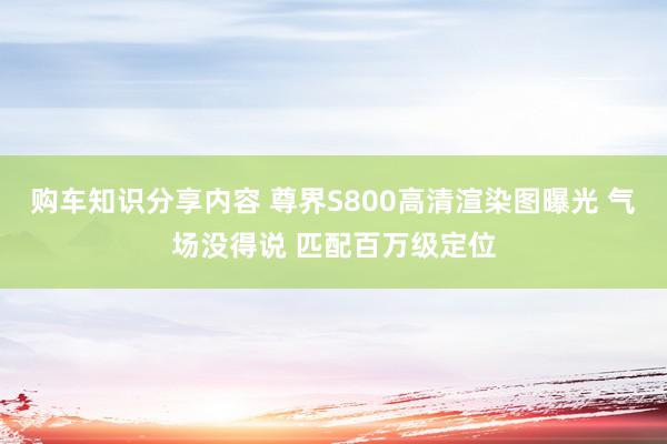 购车知识分享内容 尊界S800高清渲染图曝光 气场没得说 匹配百万级定位