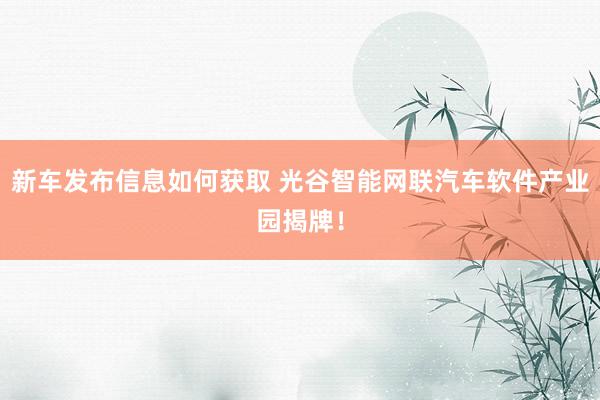 新车发布信息如何获取 光谷智能网联汽车软件产业园揭牌！