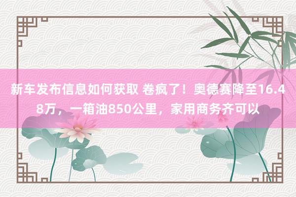 新车发布信息如何获取 卷疯了！奥德赛降至16.48万，一箱油850公里，家用商务齐可以