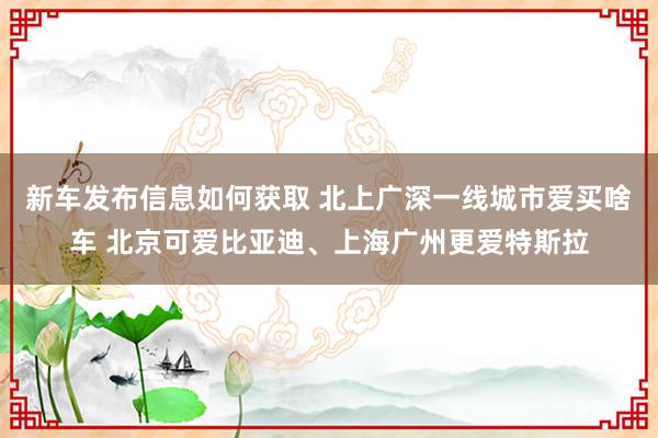 新车发布信息如何获取 北上广深一线城市爱买啥车 北京可爱比亚迪、上海广州更爱特斯拉