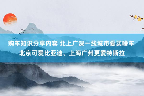 购车知识分享内容 北上广深一线城市爱买啥车 北京可爱比亚迪、上海广州更爱特斯拉