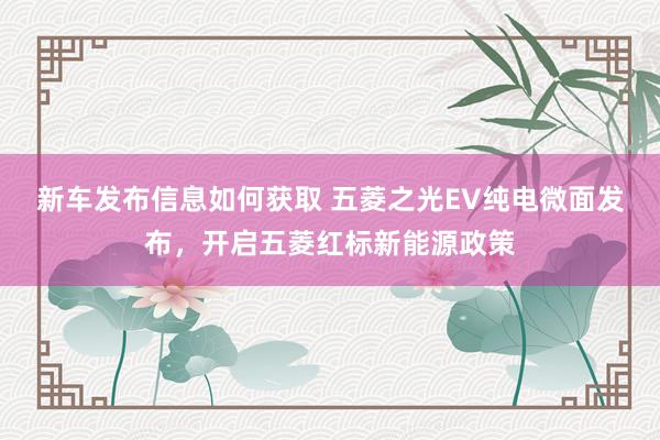 新车发布信息如何获取 五菱之光EV纯电微面发布，开启五菱红标新能源政策