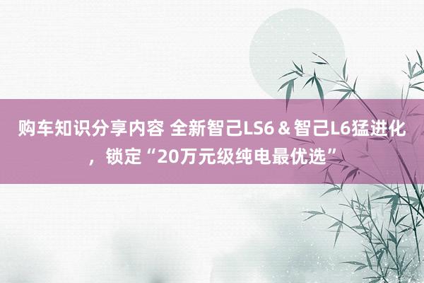 购车知识分享内容 全新智己LS6＆智己L6猛进化，锁定“20万元级纯电最优选”