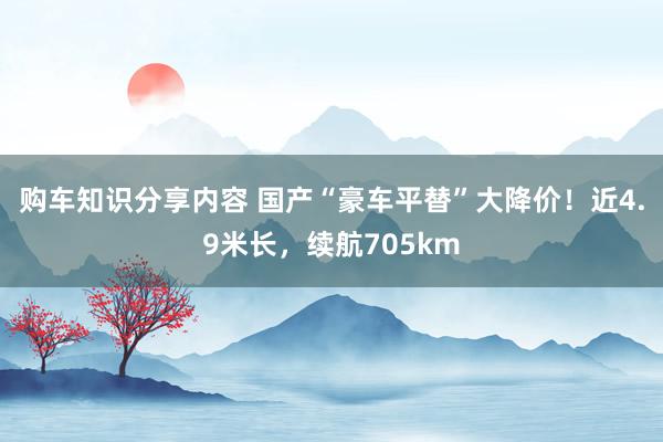 购车知识分享内容 国产“豪车平替”大降价！近4.9米长，续航705km