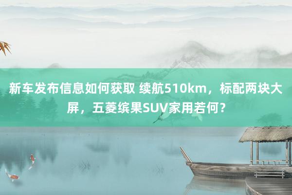 新车发布信息如何获取 续航510km，标配两块大屏，五菱缤果SUV家用若何？