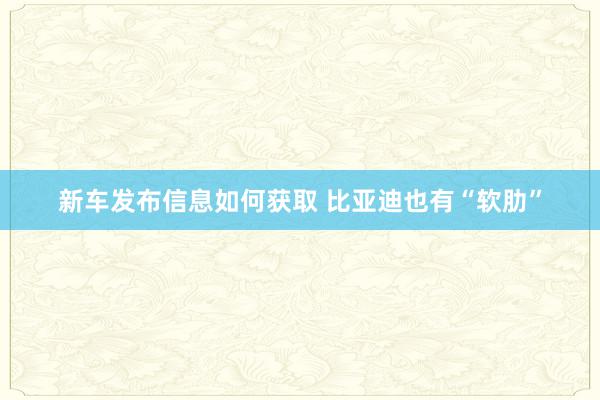 新车发布信息如何获取 比亚迪也有“软肋”