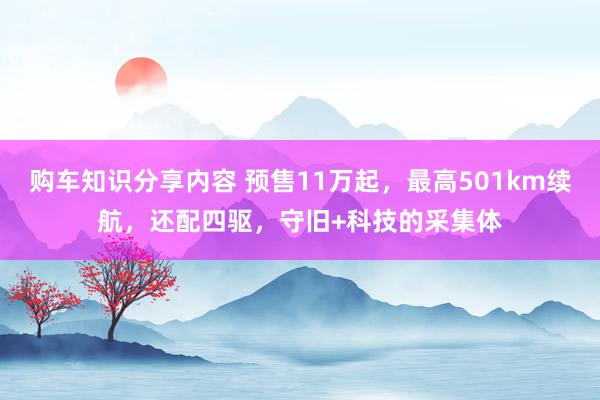 购车知识分享内容 预售11万起，最高501km续航，还配四驱，守旧+科技的采集体