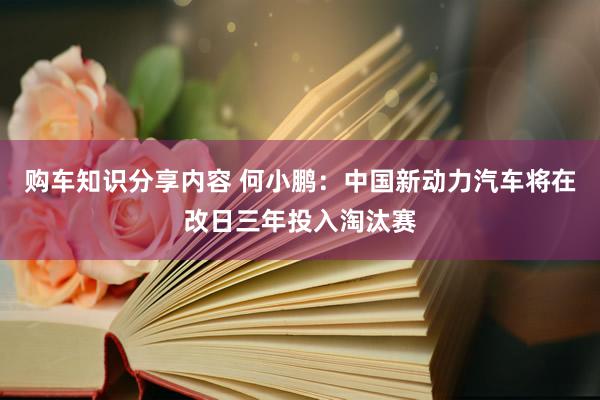 购车知识分享内容 何小鹏：中国新动力汽车将在改日三年投入淘汰赛