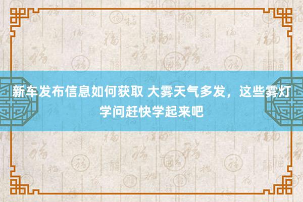 新车发布信息如何获取 大雾天气多发，这些雾灯学问赶快学起来吧