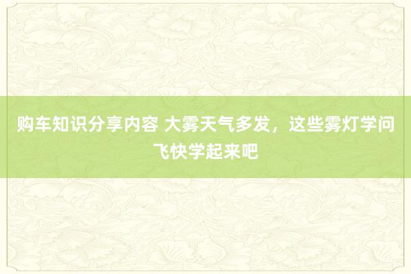 购车知识分享内容 大雾天气多发，这些雾灯学问飞快学起来吧