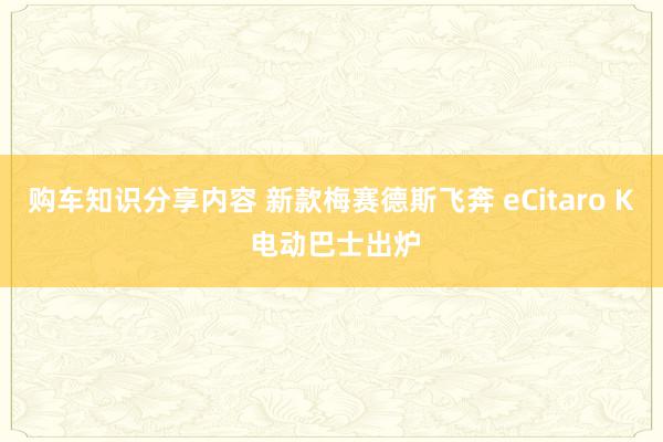 购车知识分享内容 新款梅赛德斯飞奔 eCitaro K 电动巴士出炉