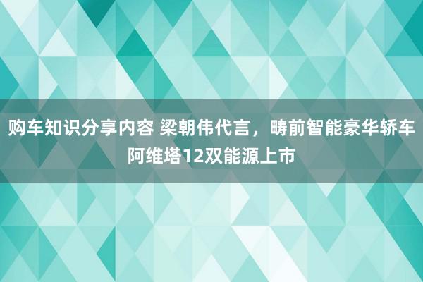 购车知识分享内容 梁朝伟代言，畴前智能豪华轿车阿维塔12双能源上市