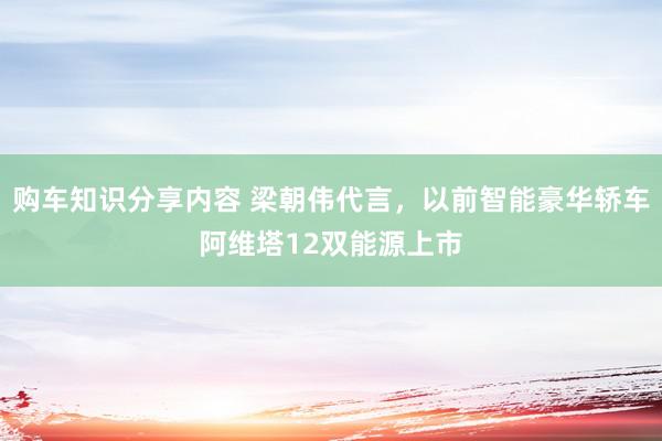 购车知识分享内容 梁朝伟代言，以前智能豪华轿车阿维塔12双能源上市