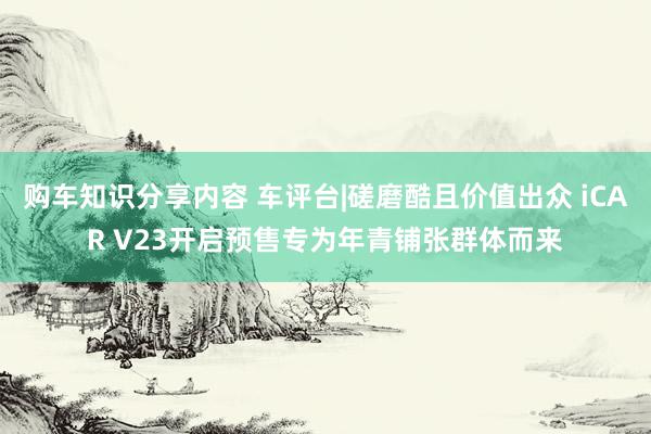 购车知识分享内容 车评台|磋磨酷且价值出众 iCAR V23开启预售专为年青铺张群体而来