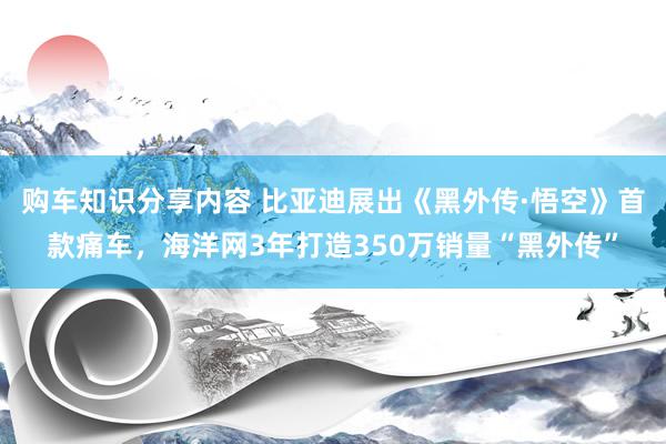 购车知识分享内容 比亚迪展出《黑外传·悟空》首款痛车，海洋网3年打造350万销量“黑外传”