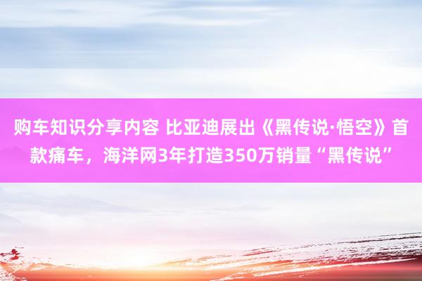 购车知识分享内容 比亚迪展出《黑传说·悟空》首款痛车，海洋网3年打造350万销量“黑传说”