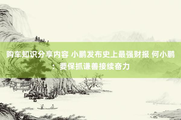 购车知识分享内容 小鹏发布史上最强财报 何小鹏：要保抓谦善接续奋力