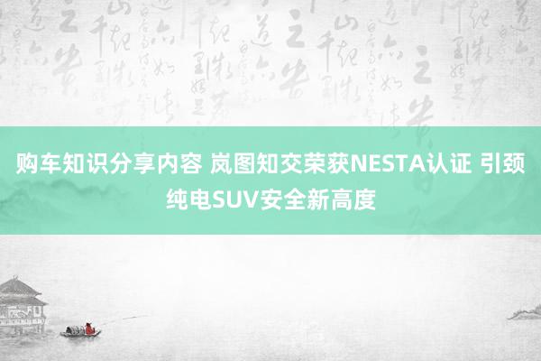 购车知识分享内容 岚图知交荣获NESTA认证 引颈纯电SUV安全新高度