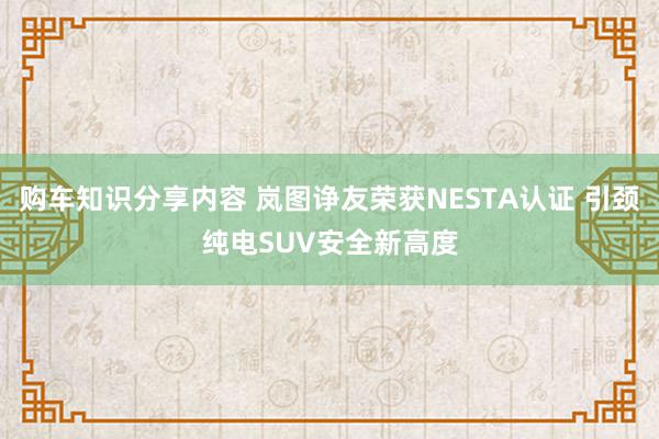 购车知识分享内容 岚图诤友荣获NESTA认证 引颈纯电SUV安全新高度