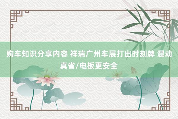 购车知识分享内容 祥瑞广州车展打出时刻牌 混动真省/电板更安全