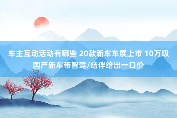 车主互动活动有哪些 20款新车车展上市 10万级国产新车带智驾/结伴给出一口价