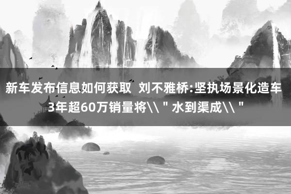 新车发布信息如何获取  刘不雅桥:坚执场景化造车 3年超60万销量将\＂水到渠成\＂