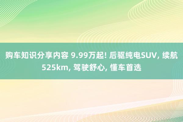 购车知识分享内容 9.99万起! 后驱纯电SUV, 续航525km, 驾驶舒心, 懂车首选