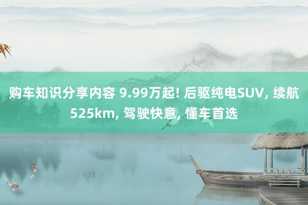 购车知识分享内容 9.99万起! 后驱纯电SUV, 续航525km, 驾驶快意, 懂车首选