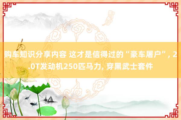 购车知识分享内容 这才是信得过的“豪车屠户”, 2.0T发动机250匹马力, 穿黑武士套件