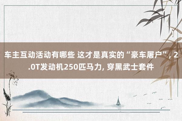 车主互动活动有哪些 这才是真实的“豪车屠户”, 2.0T发动机250匹马力, 穿黑武士套件