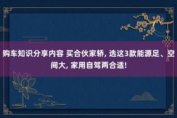 购车知识分享内容 买合伙家轿, 选这3款能源足、空间大, 家用自驾两合适!