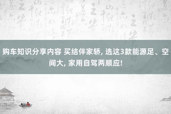 购车知识分享内容 买结伴家轿, 选这3款能源足、空间大, 家用自驾两顺应!