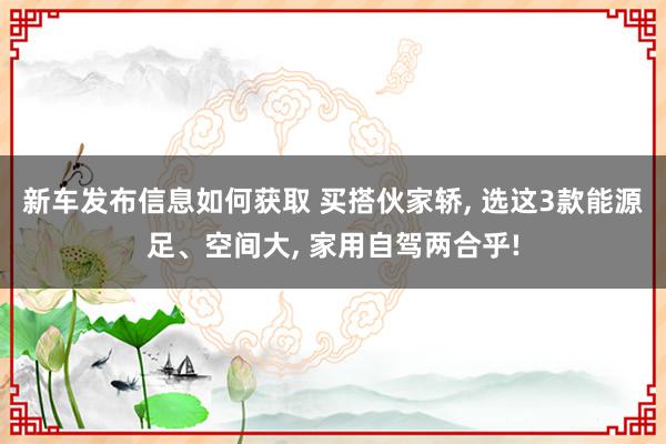 新车发布信息如何获取 买搭伙家轿, 选这3款能源足、空间大, 家用自驾两合乎!