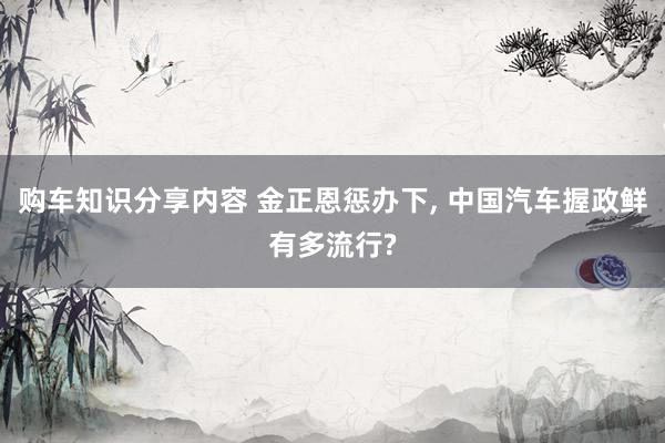 购车知识分享内容 金正恩惩办下, 中国汽车握政鲜有多流行?