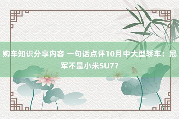 购车知识分享内容 一句话点评10月中大型轿车：冠军不是小米SU7？