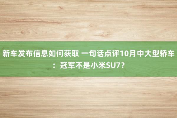 新车发布信息如何获取 一句话点评10月中大型轿车：冠军不是小米SU7？